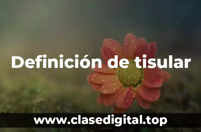 Definición de tisular