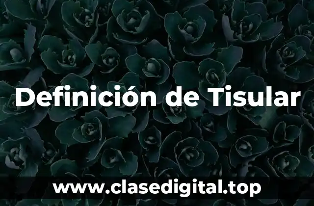 Definición técnica de Tisular