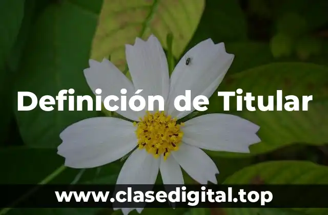 Definición de Titular