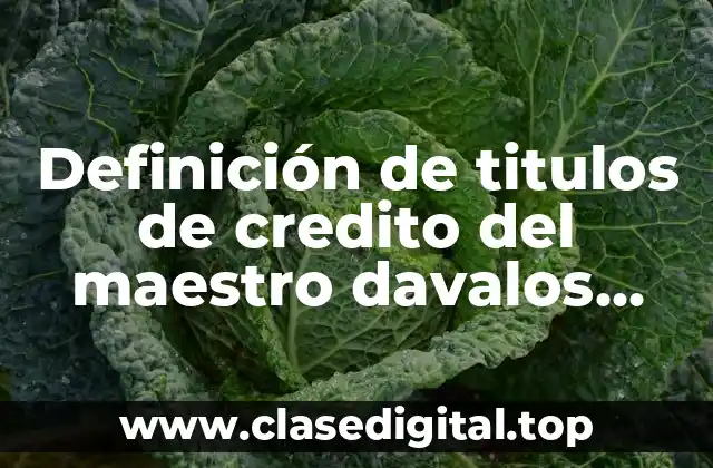 Definición de titulos de credito del maestro davalos mejia.