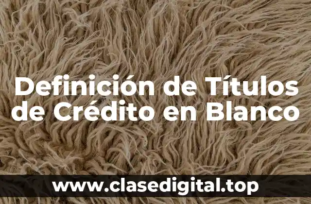 Definición de Títulos de Crédito en Blanco