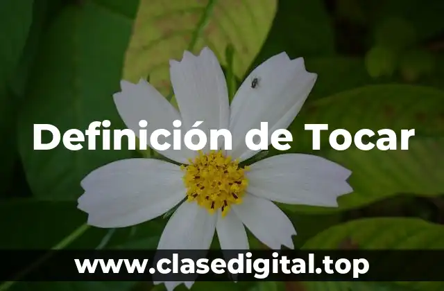 Definición técnica de Tocar