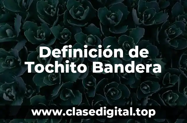 Definición de Tochito Bandera