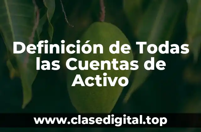Definición de Todas las Cuentas de Activo