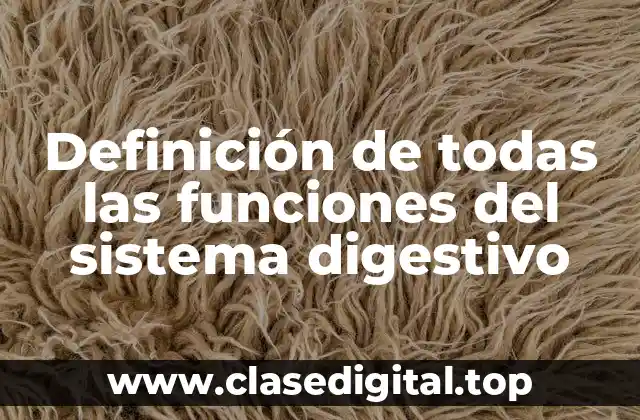 Definición de todas las funciones del sistema digestivo