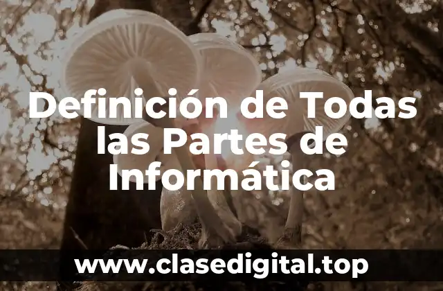 Definición de Todas las Partes de Informática