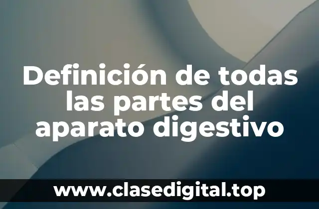 Definición de todas las partes del aparato digestivo
