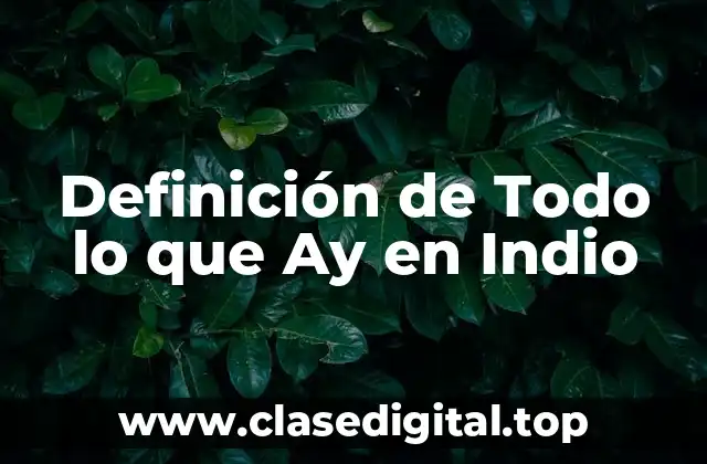 Definición de Todo lo que Ay en Indio