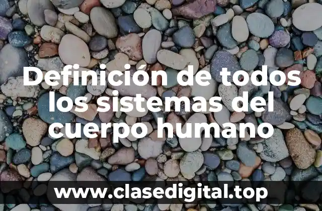 Definición de todos los sistemas del cuerpo humano