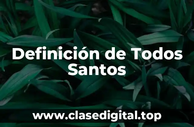 Definición de Todos Santos
