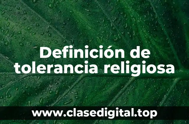 Definición técnica de tolerancia religiosa