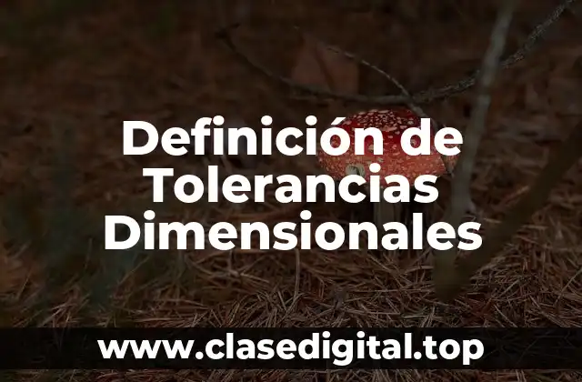 Definición de Tolerancias Dimensionales