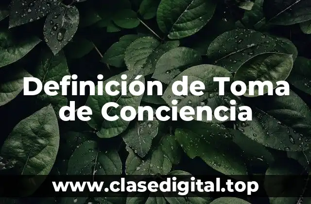 Definición de Toma de Conciencia