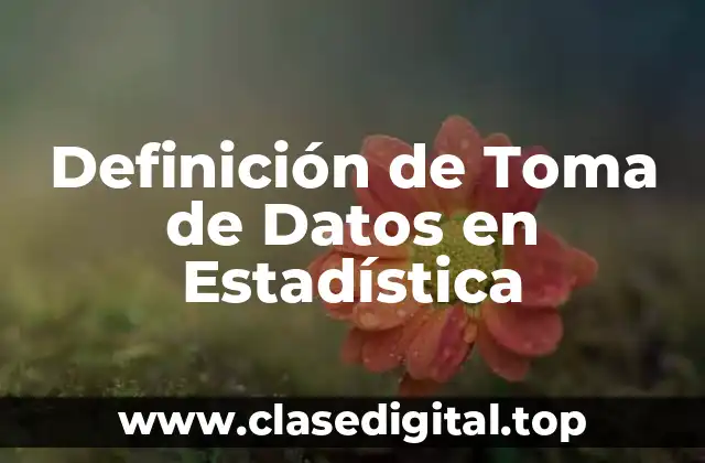 Definición técnica de Toma de Datos en Estadística