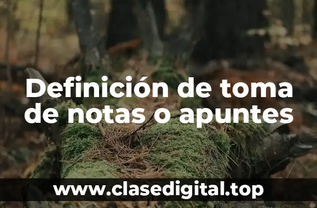 Definición de toma de notas o apuntes