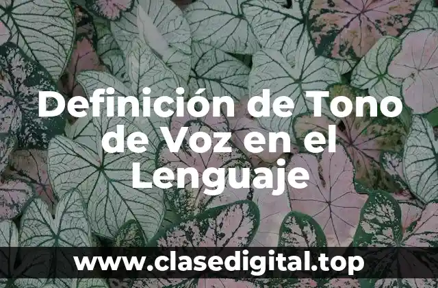Definición de Tono de Voz en el Lenguaje