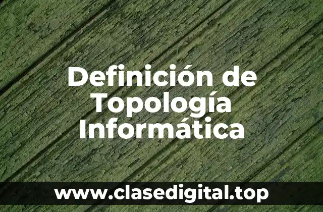 Definición de Topología Informática
