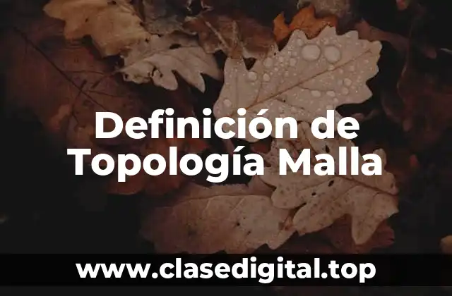 Definición de Topología Malla