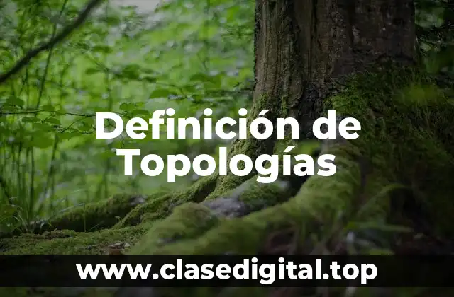 Definición de Topologías