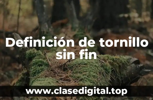 Definición de tornillo sin fin