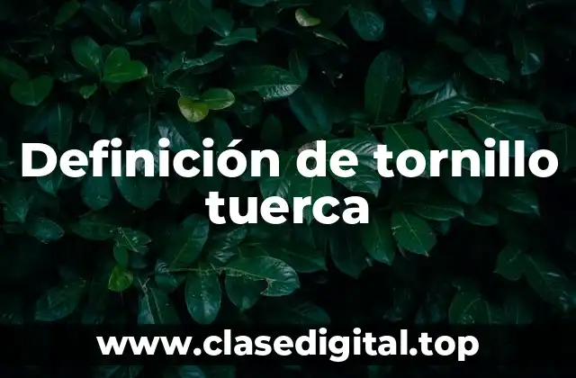 Definición de tornillo tuerca