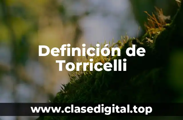 Definición técnica de Torricelli