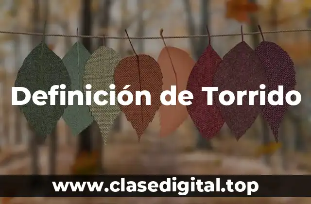 Definición de Torrido
