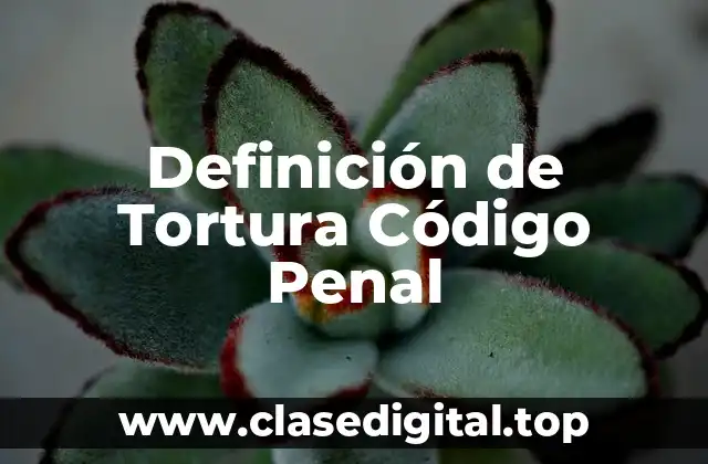 Definición de Tortura Código Penal