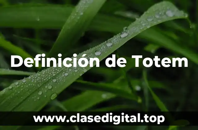 Definición de Totem