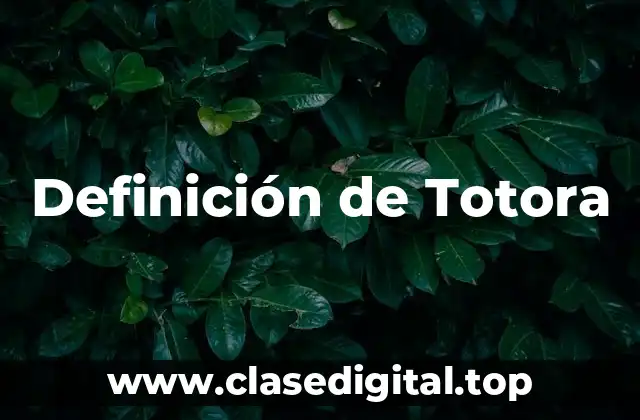 Definición de Totora
