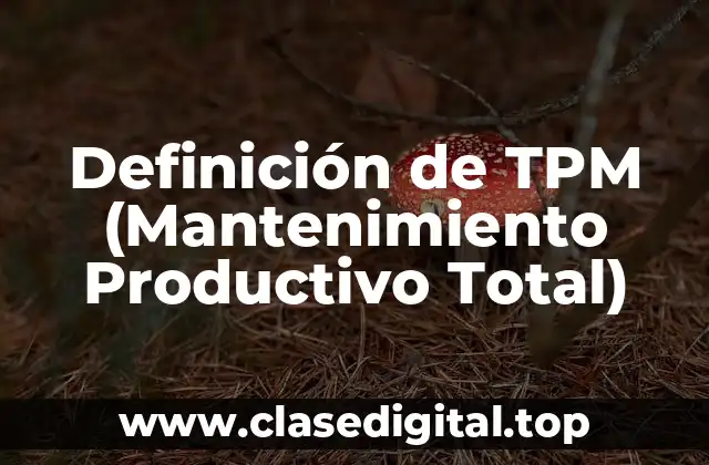 Definición de TPM (Mantenimiento Productivo Total)