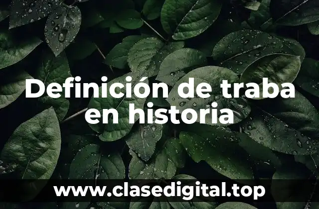 Definición de traba en historia