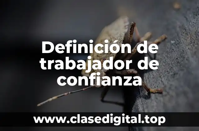Definición de trabajador de confianza