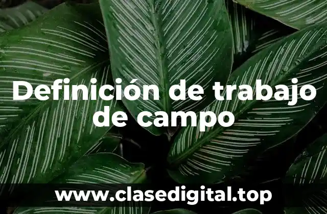 Definición de trabajo de campo