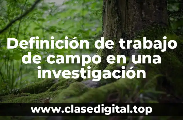 Definición de trabajo de campo en una investigación