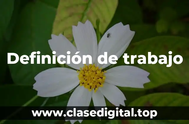 Definición de trabajo