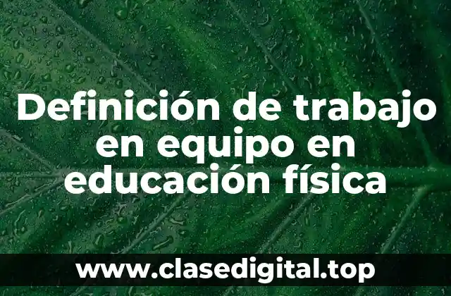 Definición de trabajo en equipo en educación física