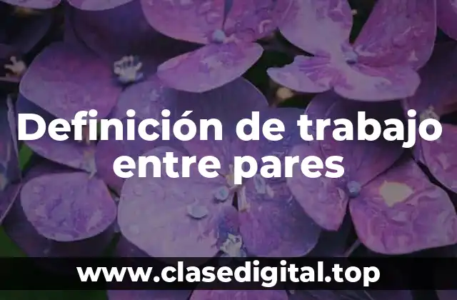 Definición de trabajo entre pares