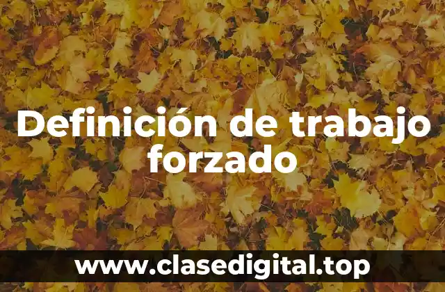 Definición técnica de trabajo forzado