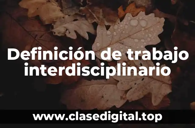 Definición de trabajo interdisciplinario