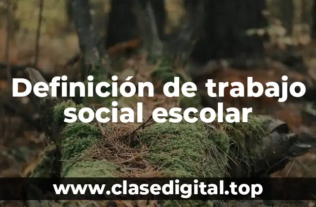 Definición de trabajo social escolar