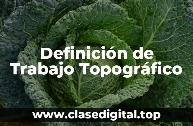 Definición de Trabajo Topográfico