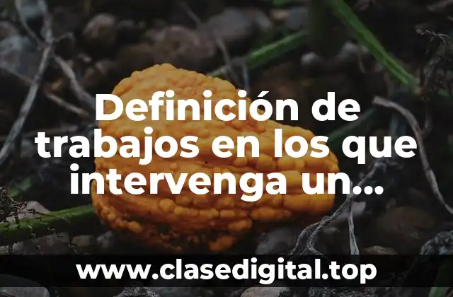 Definición de trabajos en los que intervenga un auditor fiscal