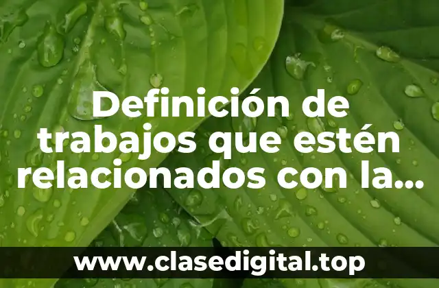 Definición de trabajos que estén relacionados con la iniciativa personal