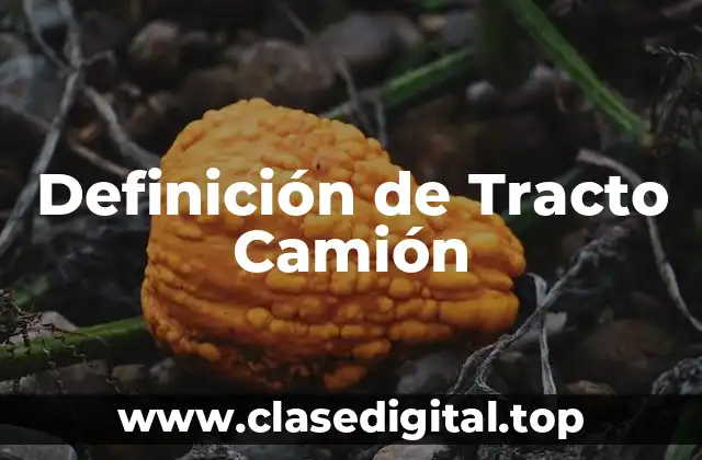 Definición de Tracto Camión