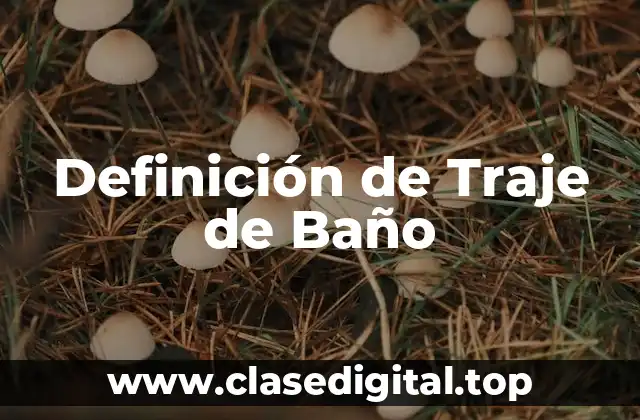 Definición de Traje de Baño