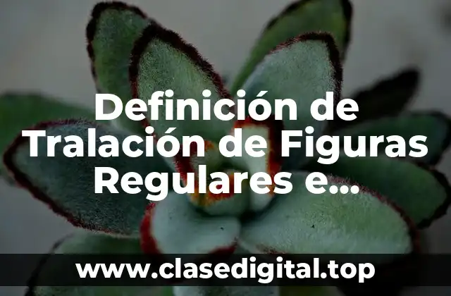 Definición de Tralación de Figuras Regulares e Irregulares