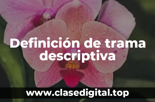 Definición de trama descriptiva