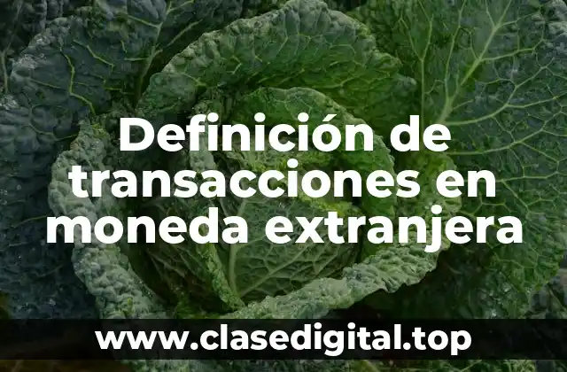 Definición de transacciones en moneda extranjera