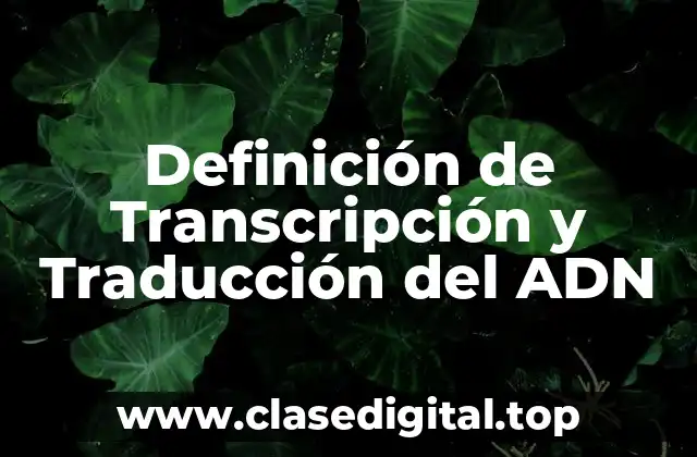 Definición de Transcripción y Traducción del ADN